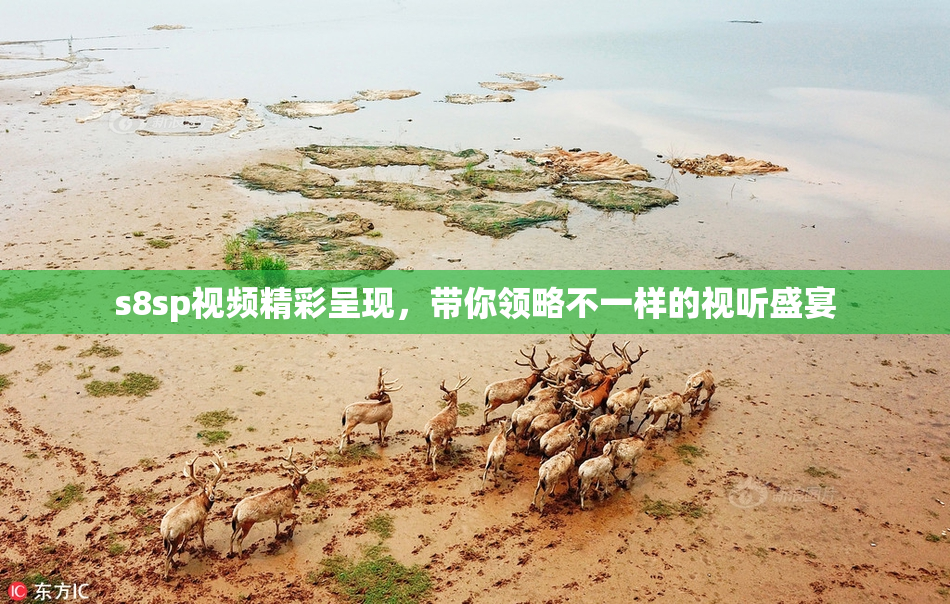 s8sp视频精彩呈现，带你领略不一样的视听盛宴