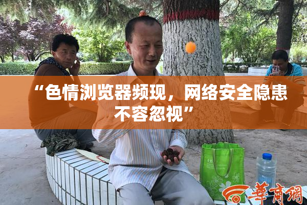 “色情浏览器频现，网络安全隐患不容忽视”