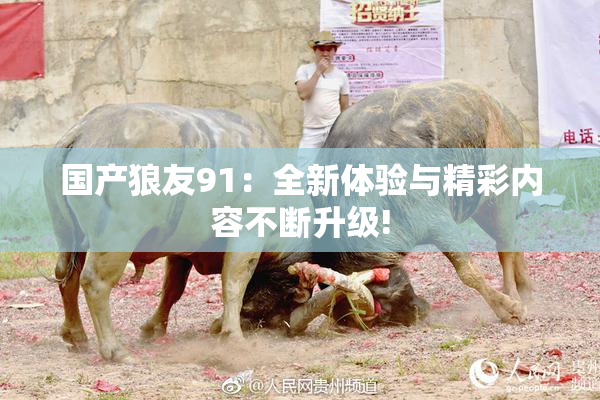 国产狼友91：全新体验与精彩内容不断升级!