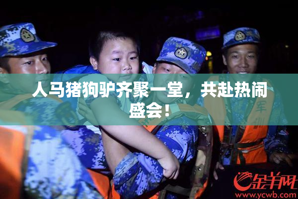 人马猪狗驴齐聚一堂，共赴热闹盛会！