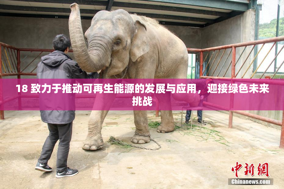 18 致力于推动可再生能源的发展与应用，迎接绿色未来挑战