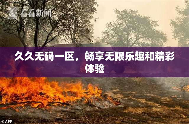 久久无码一区，畅享无限乐趣和精彩体验