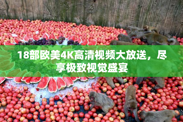 18部欧美4K高清视频大放送，尽享极致视觉盛宴