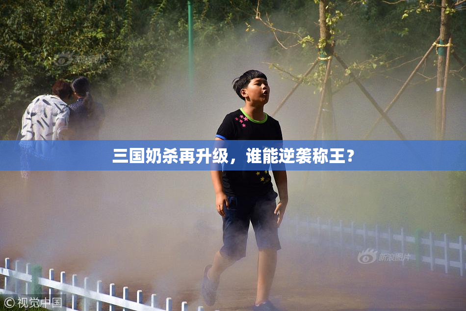 三国奶杀再升级，谁能逆袭称王？