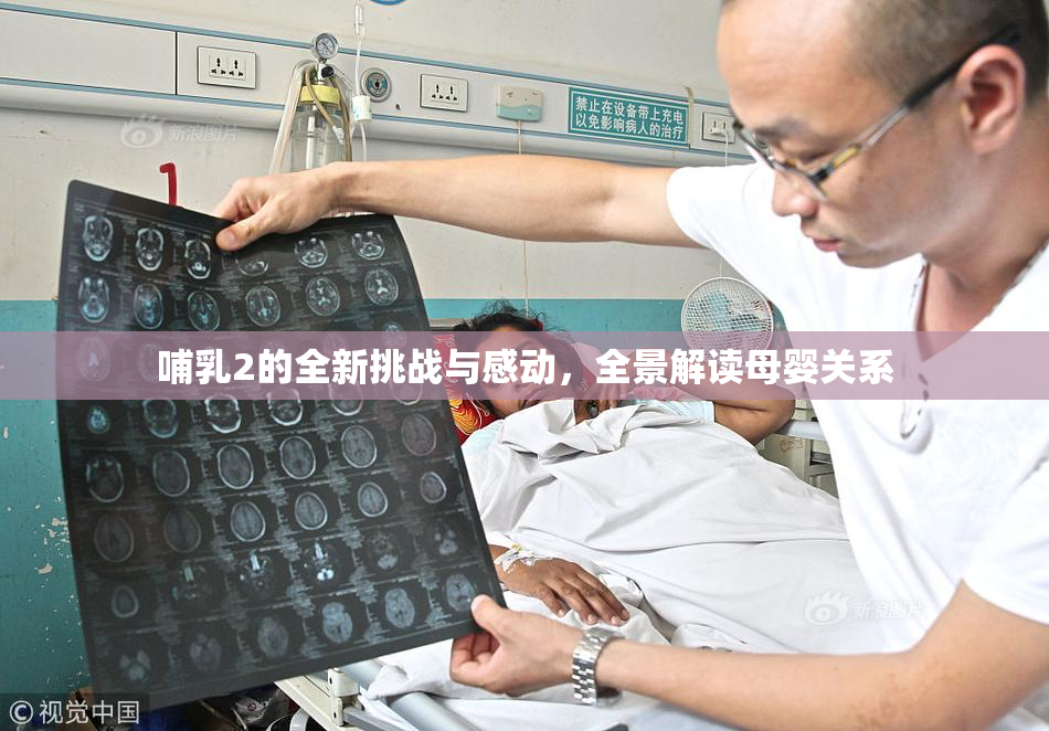 哺乳2的全新挑战与感动，全景解读母婴关系