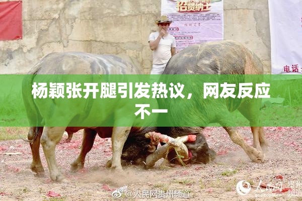 杨颖张开腿引发热议，网友反应不一