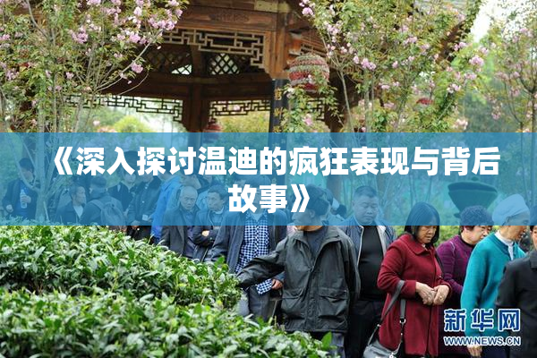 《深入探讨温迪的疯狂表现与背后故事》