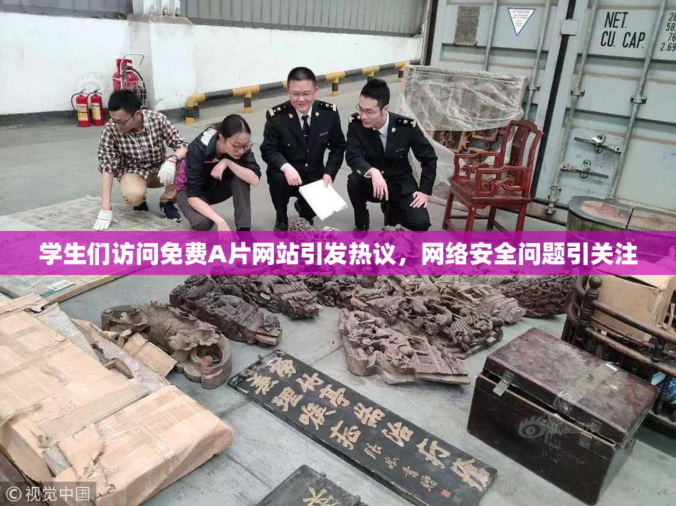 学生们访问免费A片网站引发热议，网络安全问题引关注