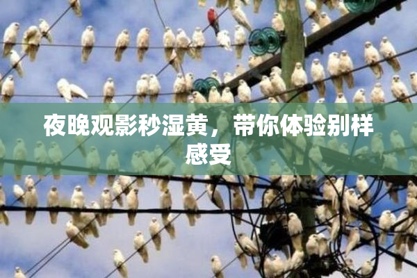 夜晚观影秒湿黄，带你体验别样感受