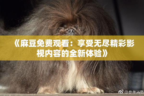 《麻豆免费观看：享受无尽精彩影视内容的全新体验》
