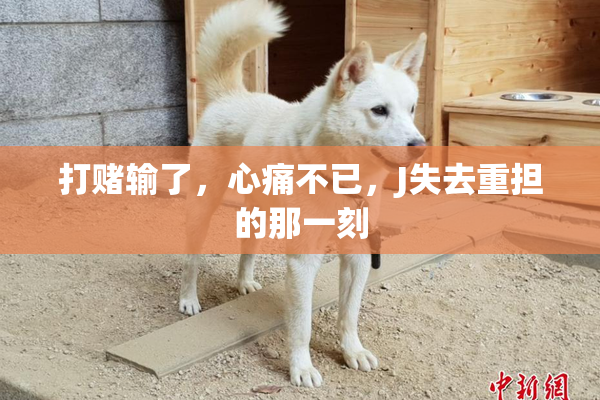 打赌输了，心痛不已，J失去重担的那一刻