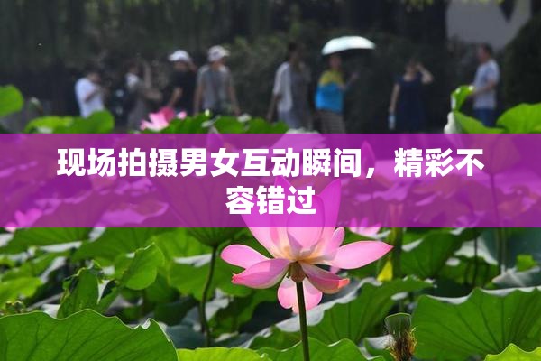 现场拍摄男女互动瞬间，精彩不容错过
