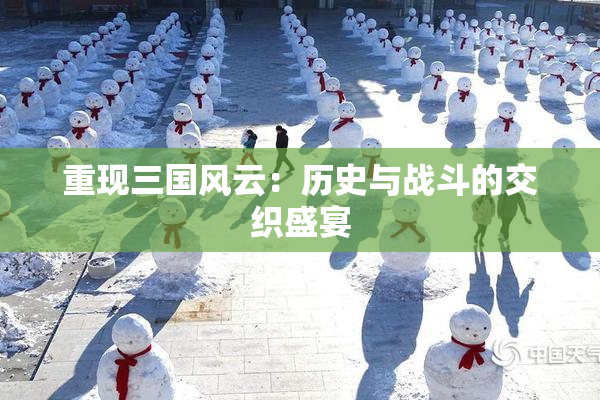 重现三国风云：历史与战斗的交织盛宴