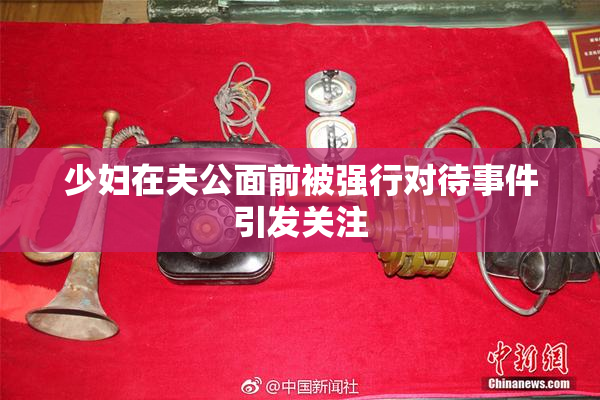 少妇在夫公面前被强行对待事件引发关注