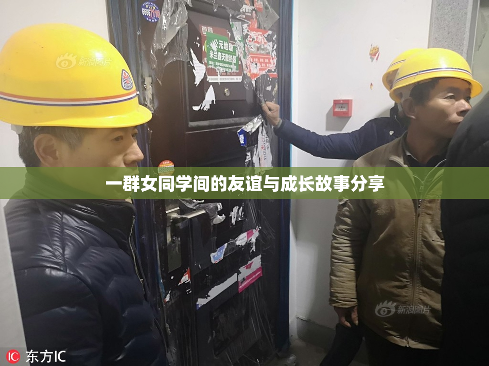 一群女同学间的友谊与成长故事分享