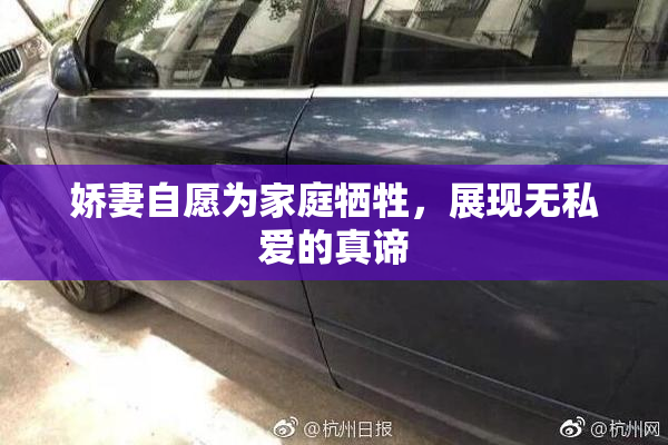 娇妻自愿为家庭牺牲，展现无私爱的真谛
