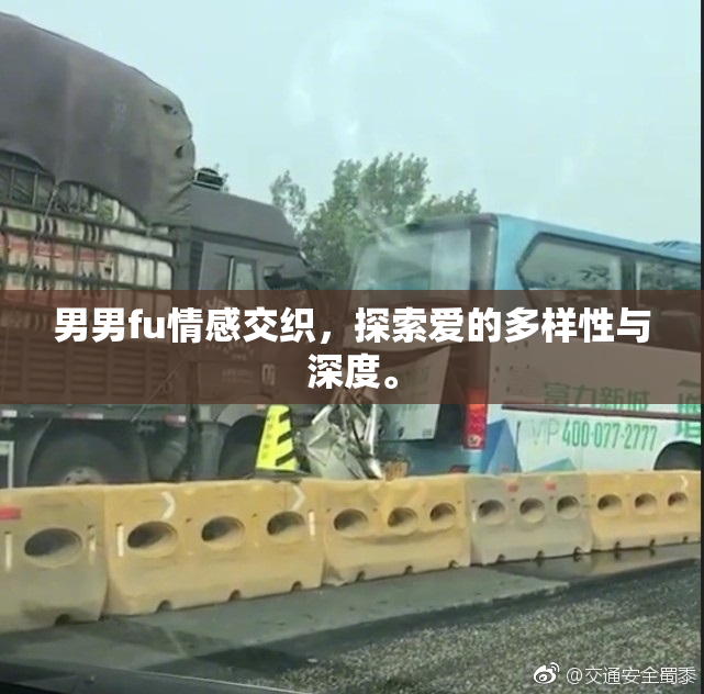 男男fu情感交织，探索爱的多样性与深度。
