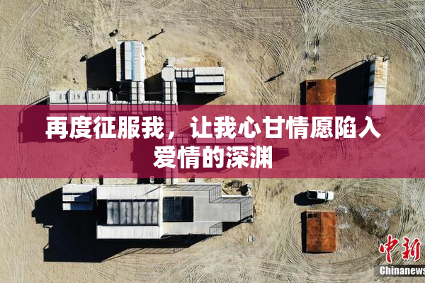 再度征服我，让我心甘情愿陷入爱情的深渊