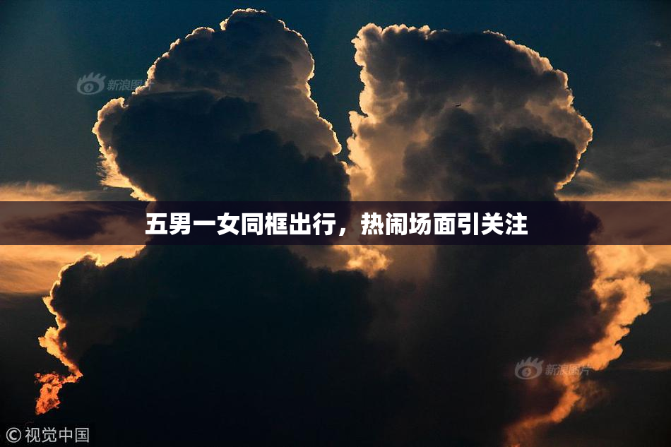 五男一女同框出行，热闹场面引关注