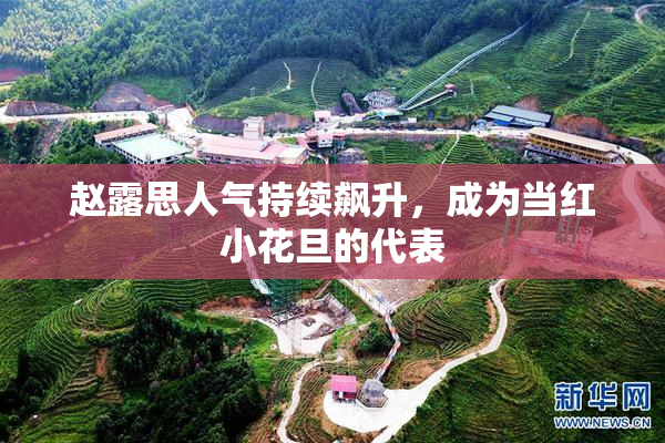 赵露思人气持续飙升，成为当红小花旦的代表