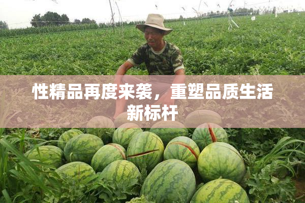 性精品再度来袭，重塑品质生活新标杆