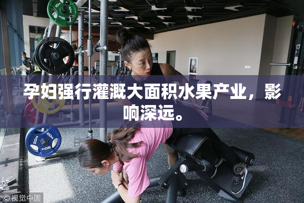 孕妇强行灌溉大面积水果产业，影响深远。