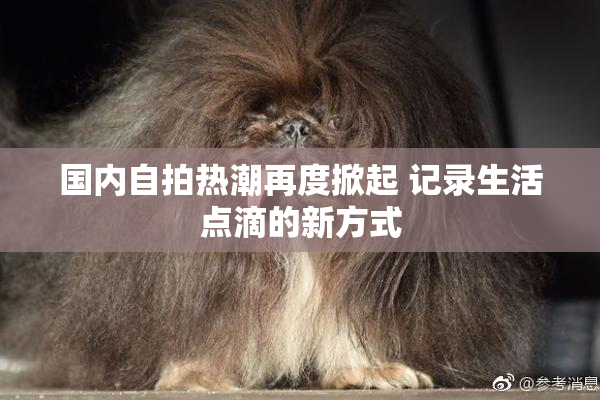 国内自拍热潮再度掀起 记录生活点滴的新方式