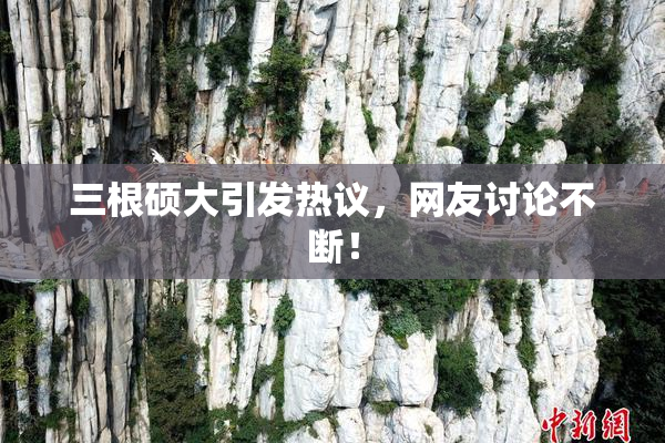 三根硕大引发热议，网友讨论不断！