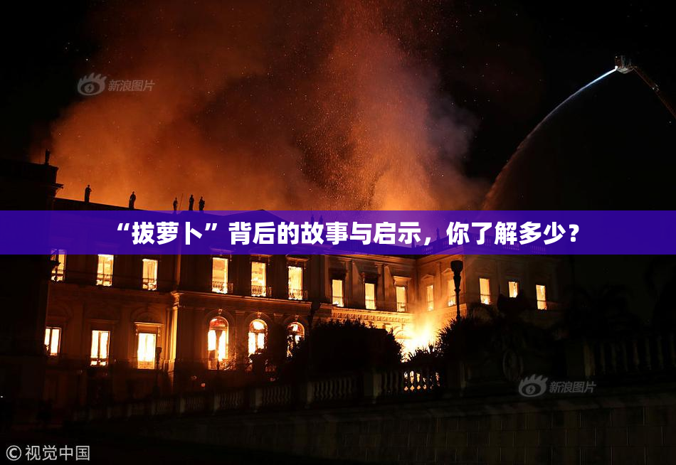 “拔萝卜”背后的故事与启示，你了解多少？