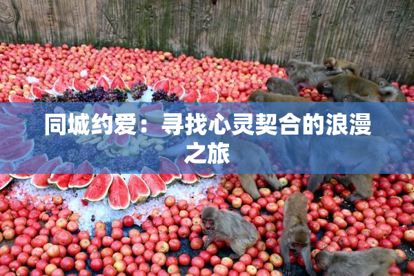 同城约爱：寻找心灵契合的浪漫之旅