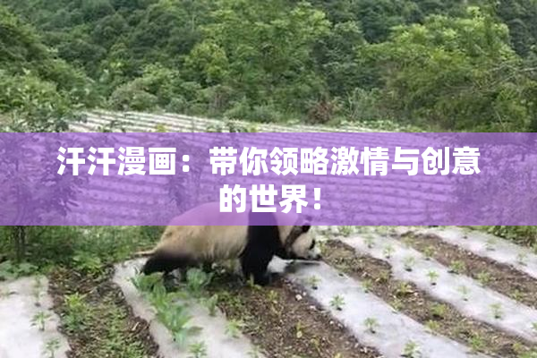 汗汗漫画：带你领略激情与创意的世界！