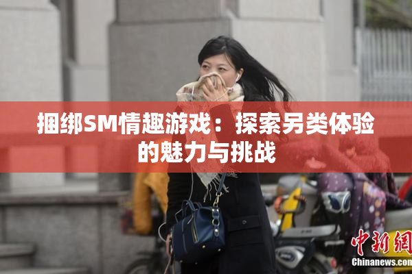 捆绑SM情趣游戏：探索另类体验的魅力与挑战