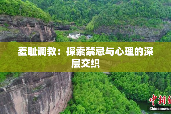 羞耻调教：探索禁忌与心理的深层交织