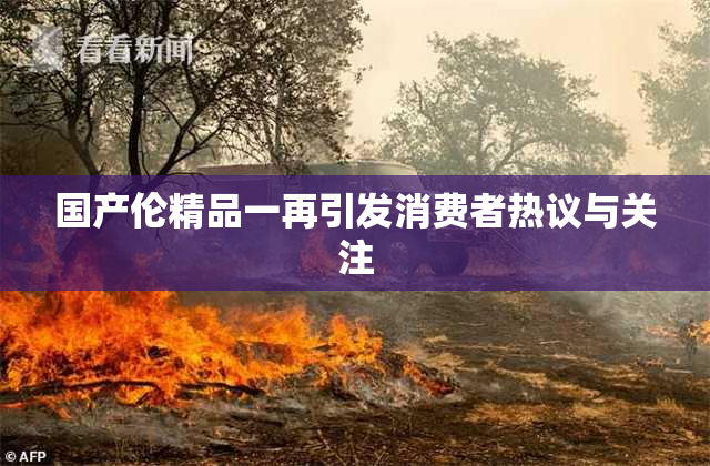 国产伦精品一再引发消费者热议与关注