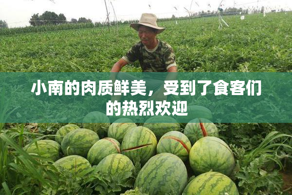 小南的肉质鲜美，受到了食客们的热烈欢迎