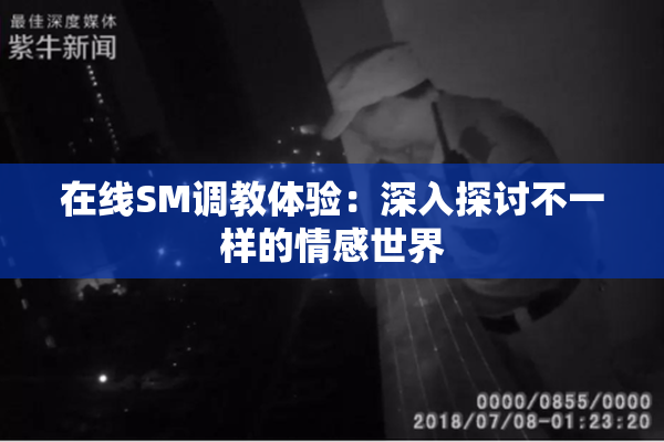 在线SM调教体验：深入探讨不一样的情感世界