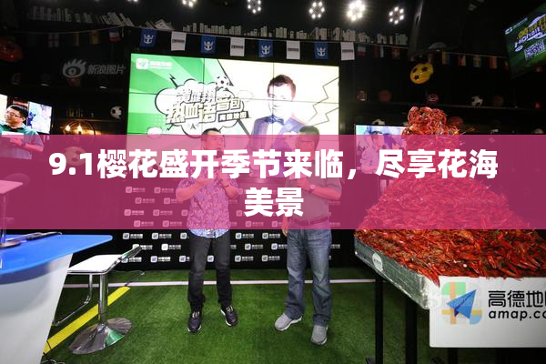 9.1樱花盛开季节来临，尽享花海美景