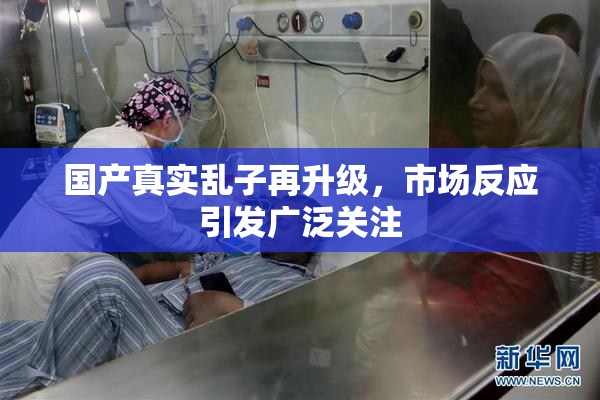 国产真实乱子再升级，市场反应引发广泛关注