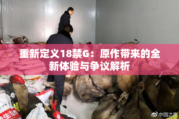 重新定义18禁G：原作带来的全新体验与争议解析