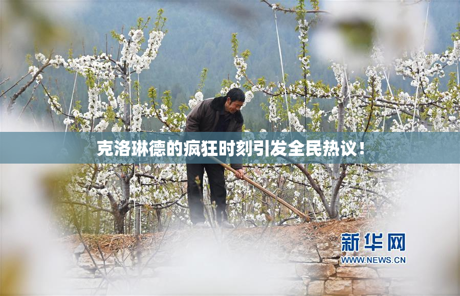 克洛琳德的疯狂时刻引发全民热议！