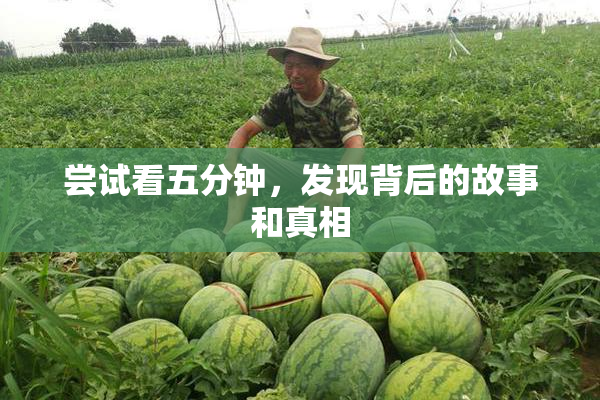 尝试看五分钟，发现背后的故事和真相