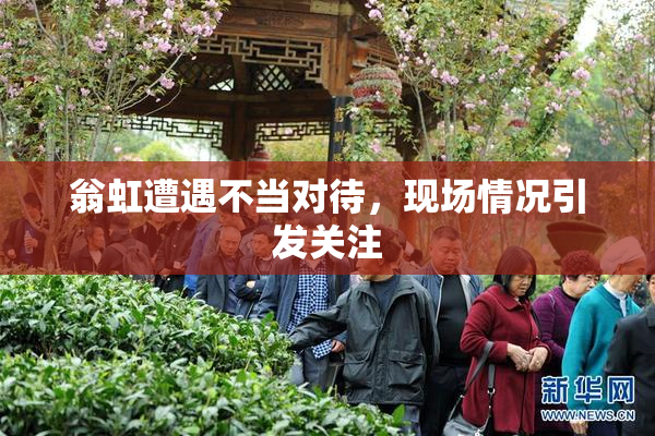翁虹遭遇不当对待，现场情况引发关注