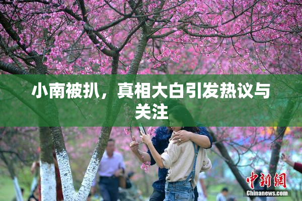 小南被扒，真相大白引发热议与关注