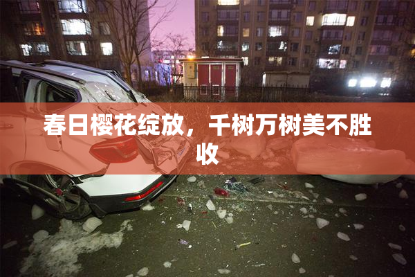 春日樱花绽放，千树万树美不胜收
