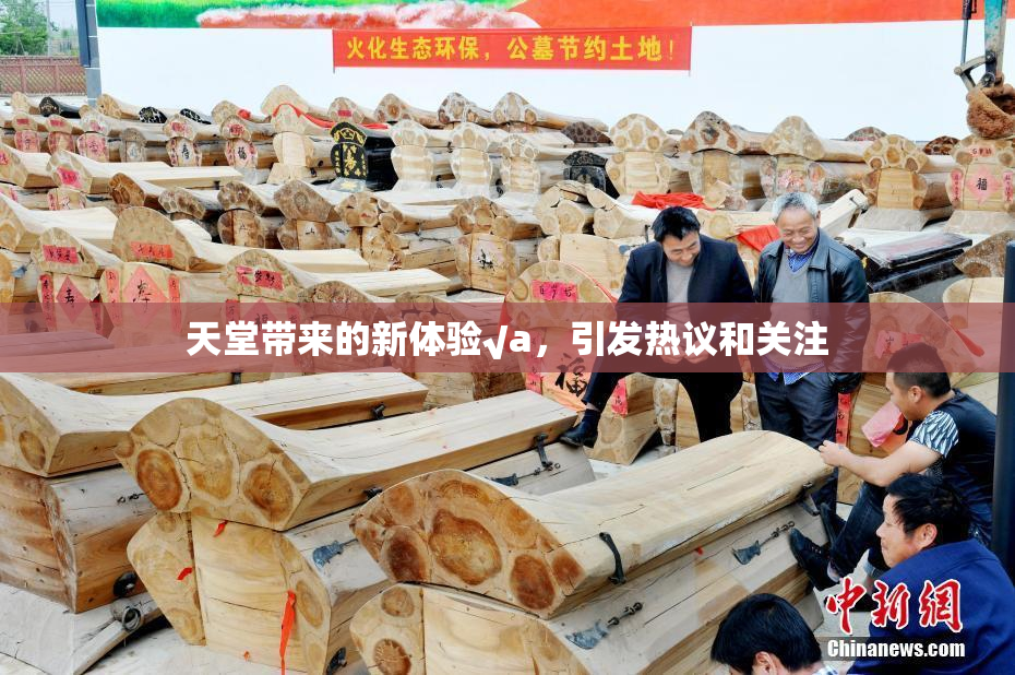 天堂带来的新体验√a，引发热议和关注