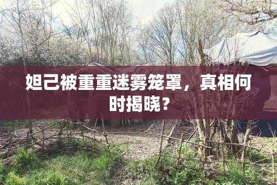妲己被重重迷雾笼罩，真相何时揭晓？
