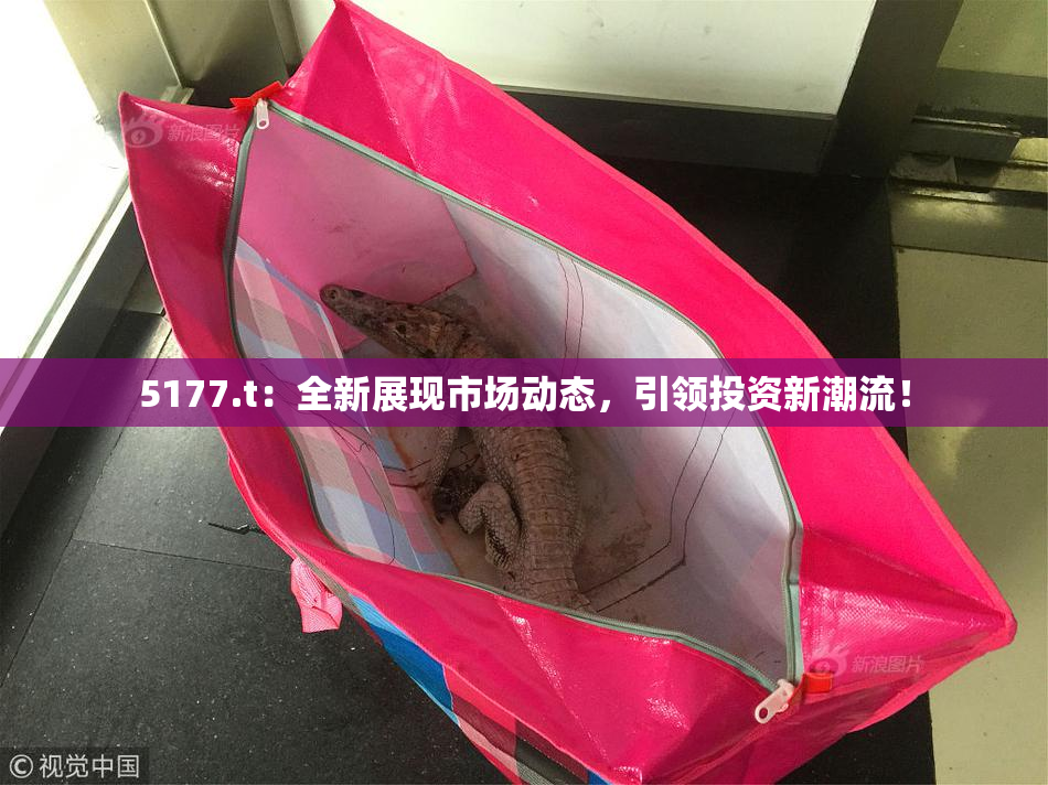 5177.t：全新展现市场动态，引领投资新潮流！