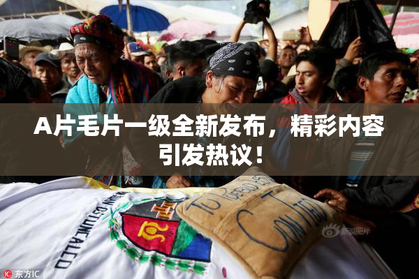 A片毛片一级全新发布，精彩内容引发热议！