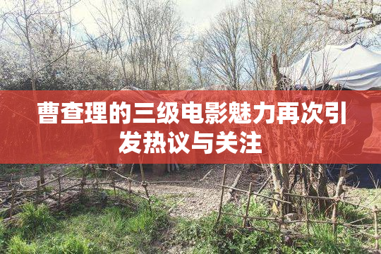 曹查理的三级电影魅力再次引发热议与关注