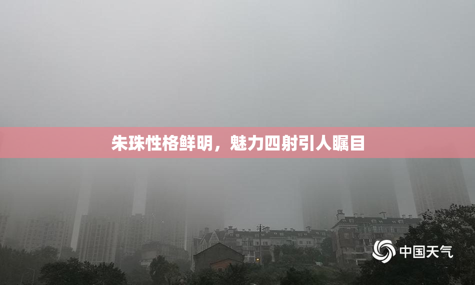 朱珠性格鲜明，魅力四射引人瞩目